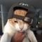 Robzy