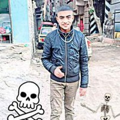 ساره محمد محمد