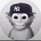 xys