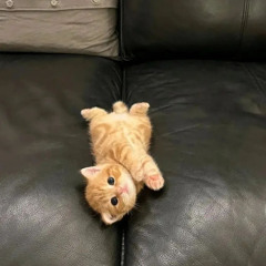 <3