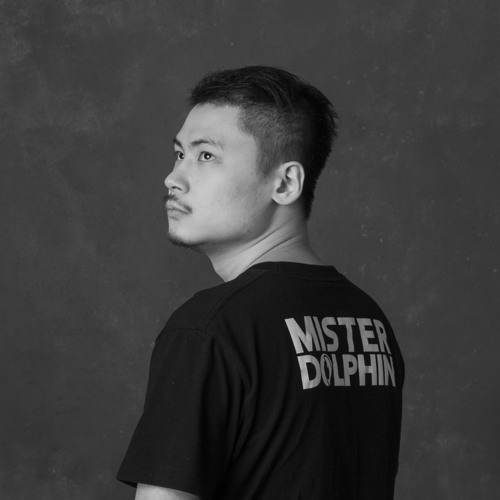 Mister Dolphin’s avatar