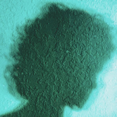 Jaysun Luna