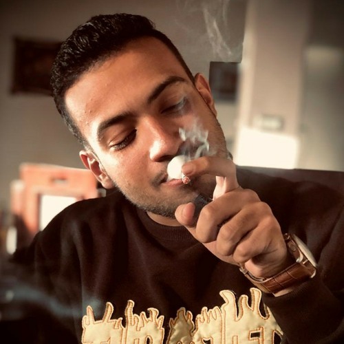 mahmoud harraz’s avatar