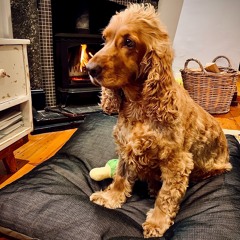 Pip Townsend