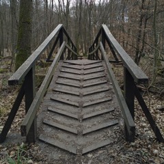 skywards