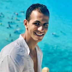 mohamed kamal