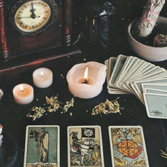 petite wex 🐈‍⬛