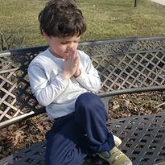 antoinette Collinson