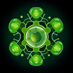 Chlorophil of Synchronos Recordings