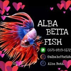 Alba Bettafish