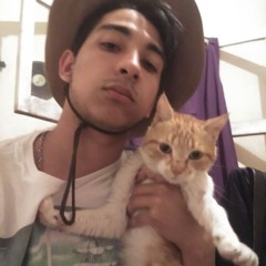 PableX#