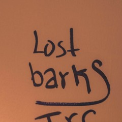 Lost Barks
