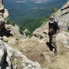 m.golestan