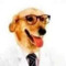 spiler_lbnk