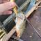Blaser