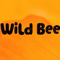 Wild Bee
