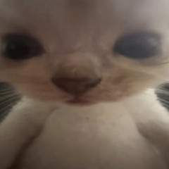 Jaydenaarts