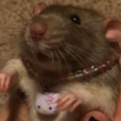 sherkislovesherkislife