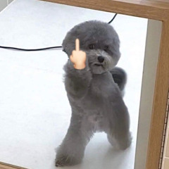 JPeezy