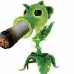 EGOMONKEY