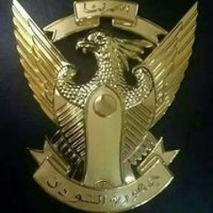 محمود رمضان