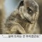 뿌셔뿌셔 마시쪙