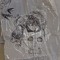 Phanta$magoria
