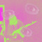 BXNDO