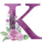User 279960584