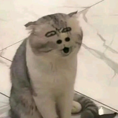 𝑵𝒈𝒖𝒚𝒆̂̃𝒏 𝑳𝒆̂ 𝑵𝒉𝒂̣̂𝒕 𝑴𝒊𝒏𝒉