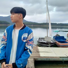 Pin T