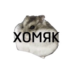 Gnom