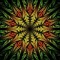 Magic Flute