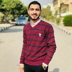 احمد ربيع