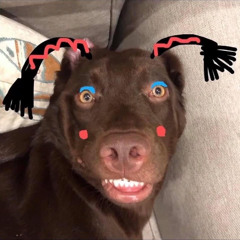 Veronica