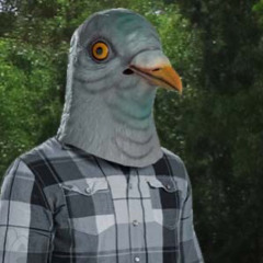 Velocipigeon