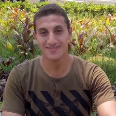 mohamed gmal