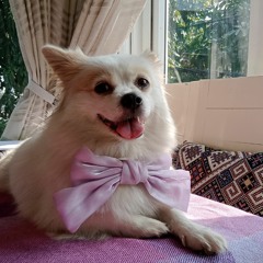 Hồ Yến Ngọc