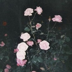 su