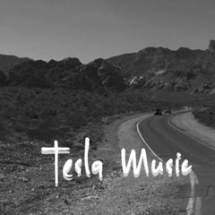 teslamusic