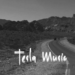 teslamusic