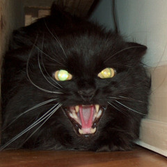 kill