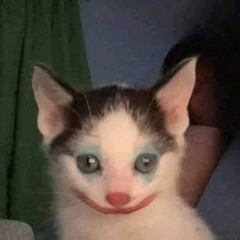 totally not a furry