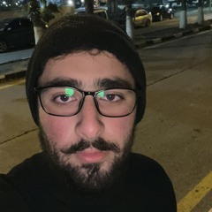 أنس الباشا