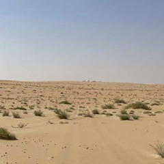 ‎⁨دنيا العنا - فالح الطوق ✨⁩