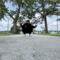 monte_tbb