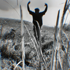 w_a_n_d_e_r_i_n_g_h_i_p_p_e_