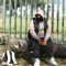 The-Don011