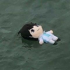 shipsda