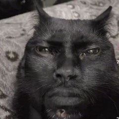 서하